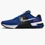 Кросівки чоловічі Nike Metcon 8 Blue Do9328-400