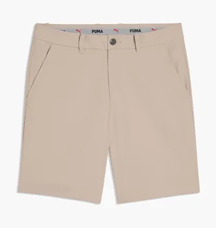 Шорти чоловічі Puma 101 Pure Beige 634820-05