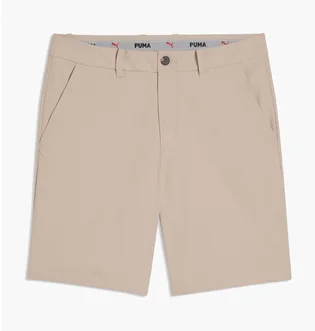 Шорты мужские Puma 101 Pure Beige 634820-05