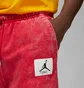 Штаны мужские Air Jordan Essential Statement Fleece Trousers Red Dr3089-612