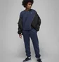 Штани жіночі Air Jordan Brooklyn Fleece Pants Blue Dq4478-410