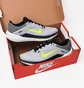 Кроссовки мужские Nike Winflo 10 Road Running Shoes Grey DV4022-007