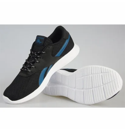 Кросівки чоловічі Reebok Royal Ec Ride Black BD4177