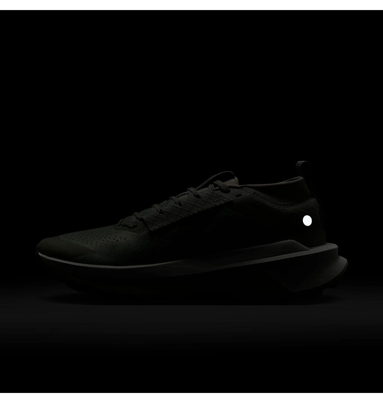 ᐉ Кроссовки мужские Nike Zoomx Zegama 2 Olive FD5190-301 - купить