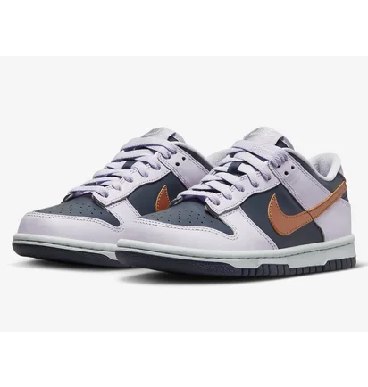 Кросівки дитячі Nike Dunk Low Se White/Blue DX1663-400