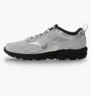 Кроссовки мужские Mizuno Wave Daichi Ls Metallic/Grey D1GA260102