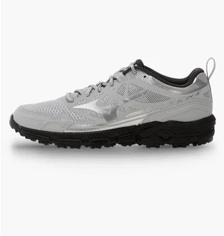 Кроссовки мужские Mizuno Wave Daichi Ls Metallic/Grey D1GA260102
