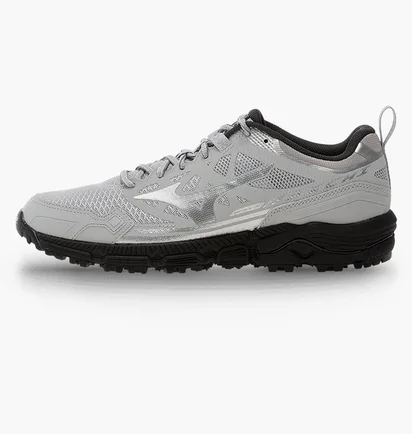 Кроссовки мужские Mizuno Wave Daichi Ls Metallic/Grey D1GA260102
