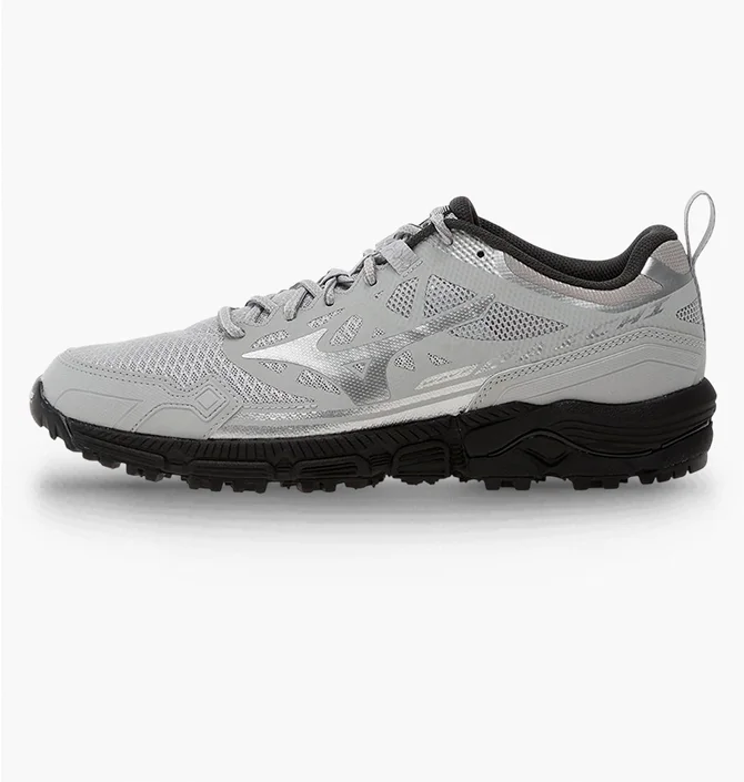 Кроссовки мужские Mizuno Wave Daichi Ls Metallic/Grey D1GA260102