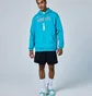 Худи мужское Air Jordan Charlotte Hornets Club Light Blue FB4791-415