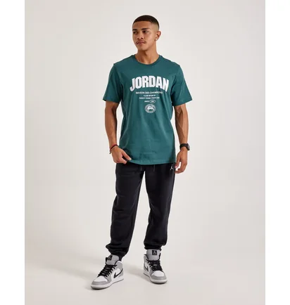 Футболка мужская Air Jordan Dri-Fit Tee Green FZ1925-366