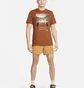Футболка мужская Nike Trail Dri-Fit Running T-Shirt Brown FD0120-246