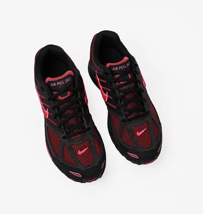 Кроссовки унисекс Nike Pegasus 2K5 Black/Bordo FJ1912-001