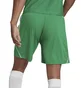 Шорти чоловічі Adidas Shorts Tiro 23 Sho Green IB8087