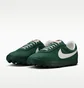 Кросівки чоловічі Nike Astrograbber MenS Shoes Green IH2341-300