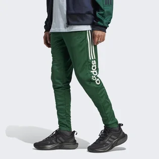 Штаны мужские Adidas Tiro Wordmark Pants Black IM2935