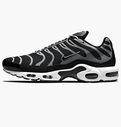 Кроссовки мужские Nike Air Max Plus Black DM2466-001