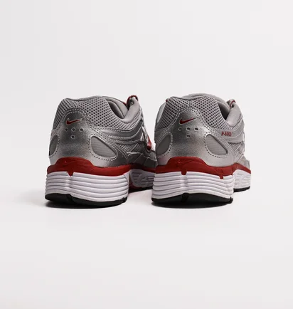 Кросівки чоловічі Nike P-6000 Metallic CD6404-024