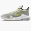 Кросівки унісекс Nike Basketball Shoe Grey DC3725-007