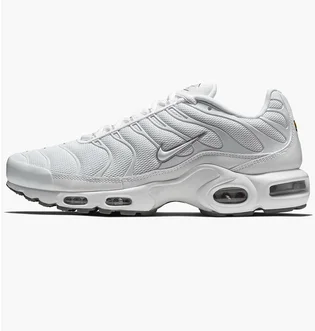 Кроссовки мужские Nike Air Max Plus White 604133-139