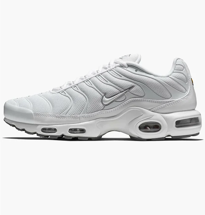 Кроссовки мужские Nike Air Max Plus White 604133-139
