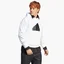 Худі чоловіче Adidas Future Icons Badge Of Sport Hoodie White Ic3746