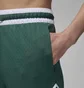 Шорты мужские Air Jordan Dri-Fit Sport Diamond Green DX1487-366