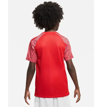 Футболка дитяча Nike Dri-Fit Academy Red DH8369-657
