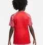 Футболка дитяча Nike Dri-Fit Academy Red DH8369-657