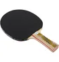 Ракетка для настольного тенниса Donic Legends 500 Fsc Black/Red 714407