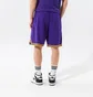 Шорты мужские Nike Lal M Nk Df Dna Short Team Nba Violet DH9175-504