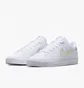 Кеди жіночі Nike Court Legacy Next Nature White Fd0820-100