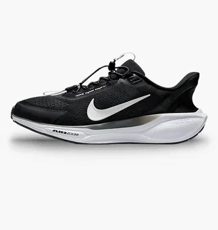Кросівки чоловічі Nike Pegasus Easyon Black FQ7837-002