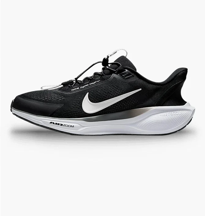 Кросівки чоловічі Nike Pegasus Easyon Black FQ7837-002