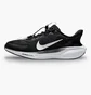 Кросівки чоловічі Nike Pegasus Easyon Black FQ7837-002