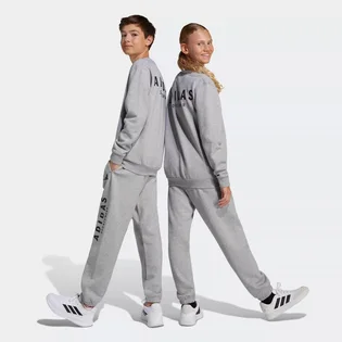 Штани дитячі Adidas J All Season Gfx Grey JC7640