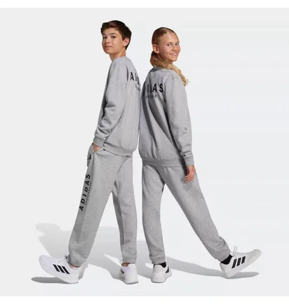 Штаны детские Adidas J All Season Gfx Grey JC7640