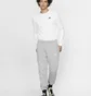 Штани чоловічі Nike Sportswear Club Fleece Grey BV2737-063