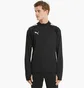 Кофта мужская Puma Teamliga Black 657236-03
