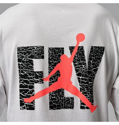 Футболка чоловіча Air Jordan Graphic White IF3064-100