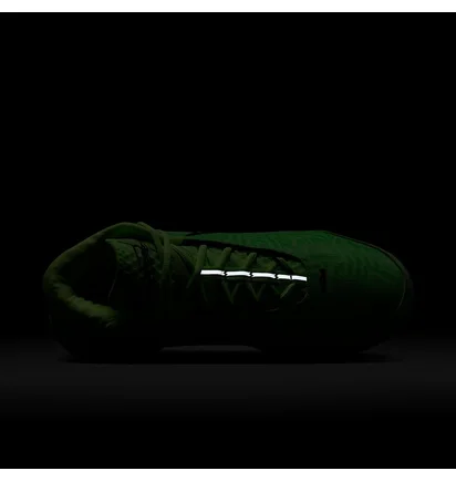Кроссовки мужские Nike Lbj Nxxt Genisus Green HF0712-700