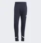 Штани чоловічі Adidas Designed For Gameday Pants Blue Ic8033