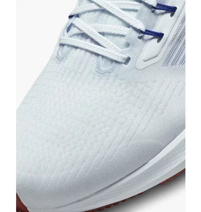 Кроссовки мужские Nike Pegasus 39 Running Shoes White Dh4071-007