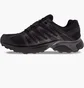 Кроссовки мужские Salomon Xt Reckon Gtx Black L47213800
