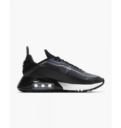 Кроссовки женские Nike W Air Max 2090 Black CK2612-002