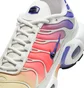 Кроссовки женские Nike Air Max Plus Multi DZ3670-003