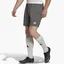 Шорты мужские Adidas Entrada 22 Shorts Grey H57505
