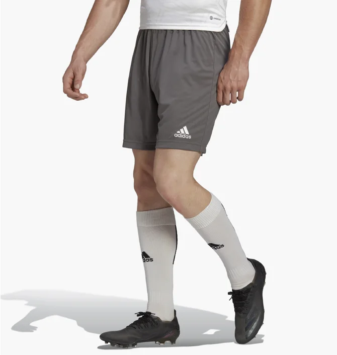 Шорты мужские Adidas Entrada 22 Shorts Grey H57505