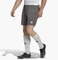 Шорты мужские Adidas Entrada 22 Shorts Grey H57505