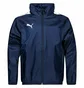 Куртка детская Puma Teamliga All-Weather Youth Blue 657246-06